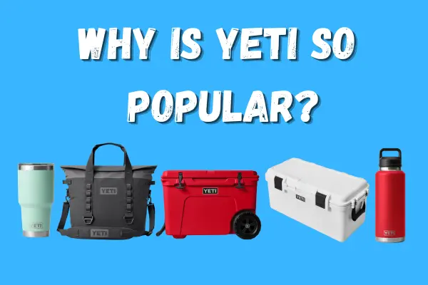 why is yeti so popular 12 Why Is Yeti So Popular?